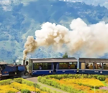 darjeeling toy train image